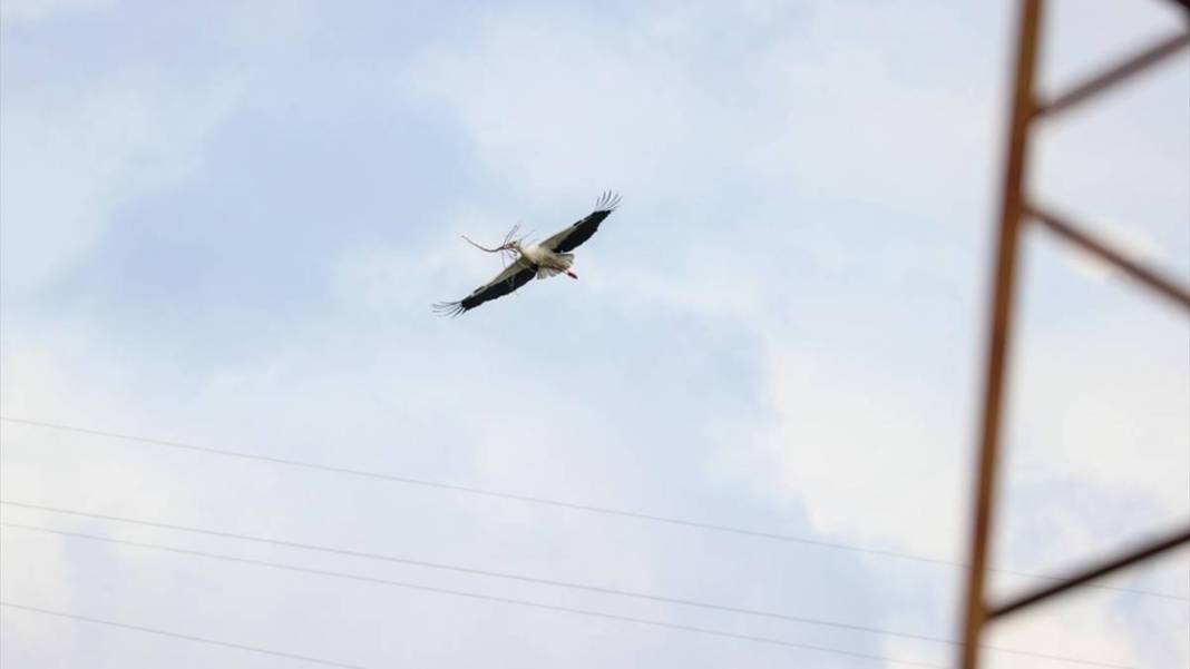 Artık bu zahmete girmiyorlar bile! Doğanın dengesinin bozulduğunun en büyük ispatı gibi... 3